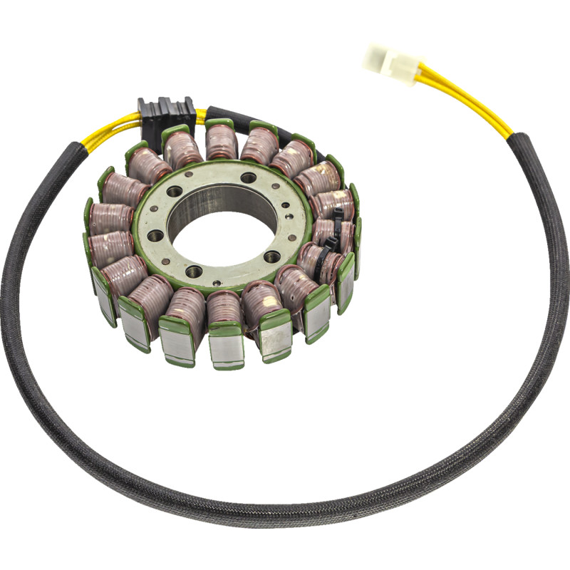 RICK'S MOTORSPORT ELECTRIC Stator - Image 9