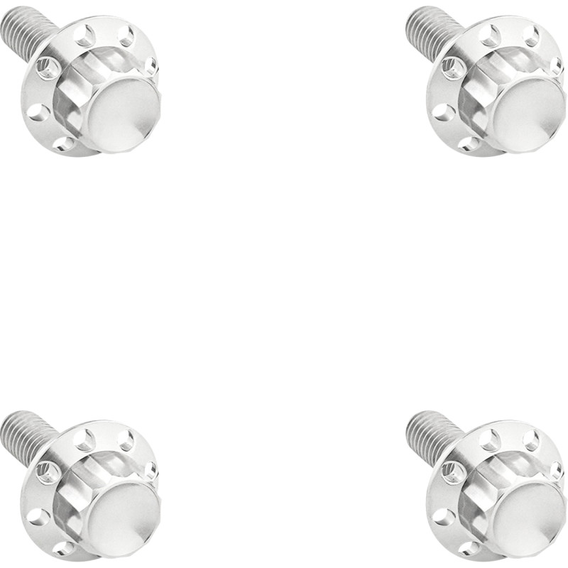 ARLEN NESS 12-Point Windshield Bolt Kit