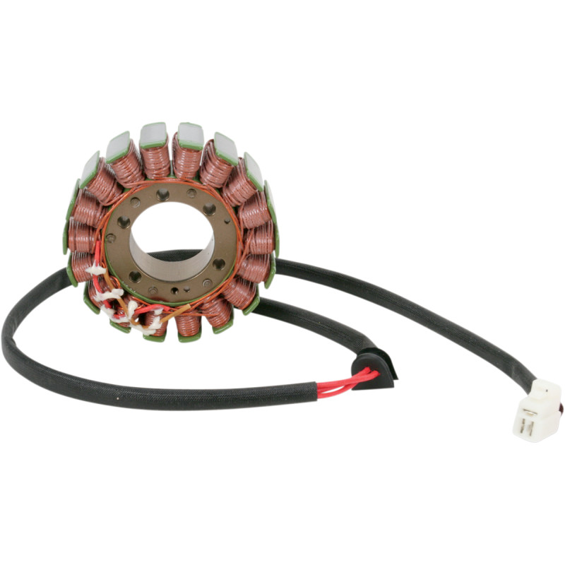 RICK'S MOTORSPORT ELECTRIC Stator - Image 2