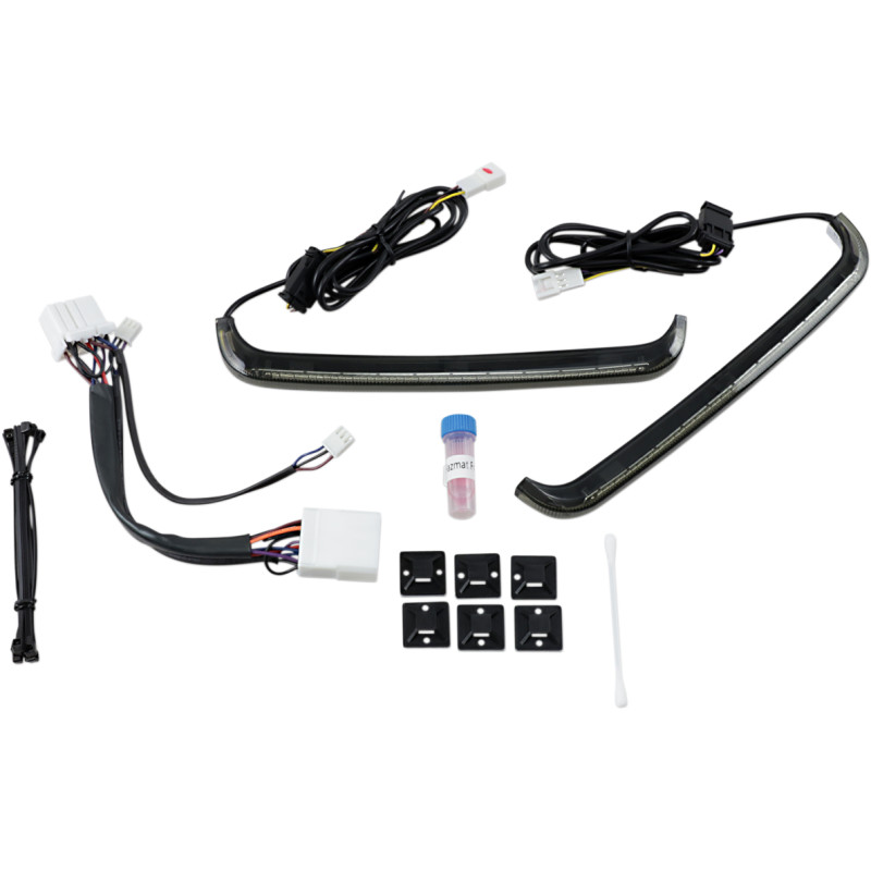 CUSTOM DYNAMICS LED Low-Profile BAGZ™ Accent Lights