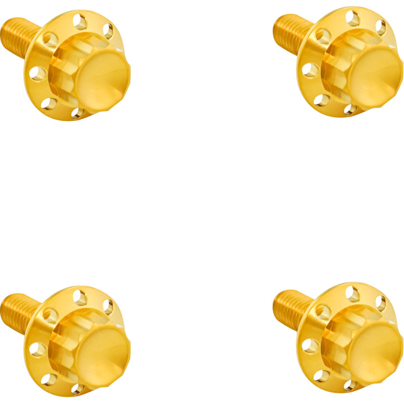 ARLEN NESS Titanium 12-Point Windshield Bolts