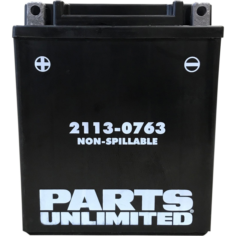 PARTS UNLIMITED Factory-Activated AGM Maintenance-Free Battery - Image 12