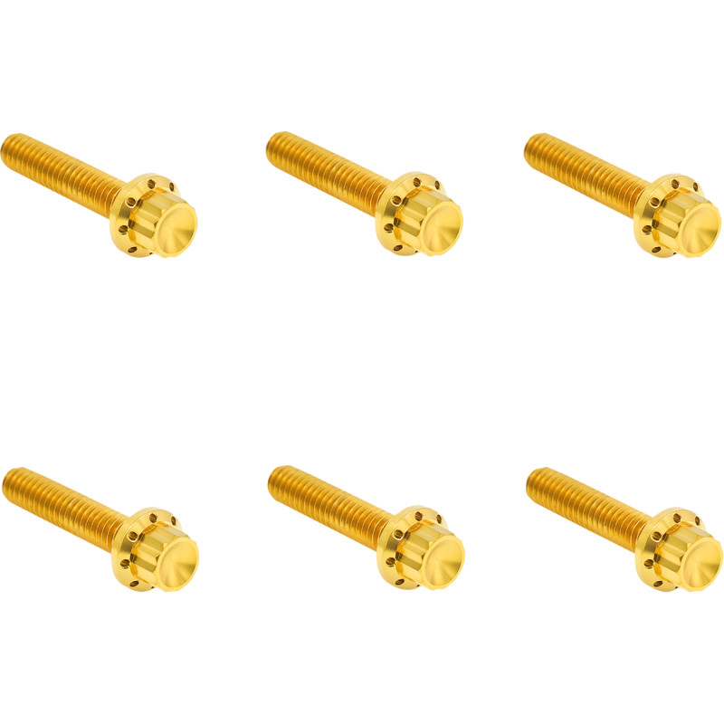 ARLEN NESS Transmission Side Cover Titanium 12-Point Bolt Kit