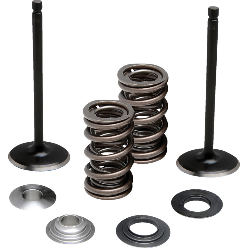 MOOSE OFFROAD Valve and Spring Kit - Image 4