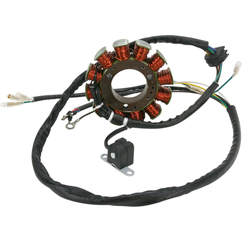 RICK'S MOTORSPORT ELECTRIC Stator for Polaris - Image 11