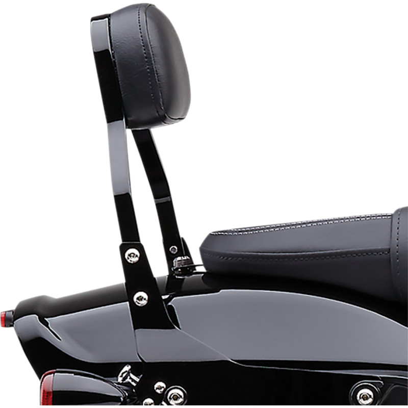 COBRA Detachable Backrest Kit