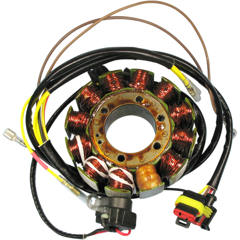 RICK'S MOTORSPORT ELECTRIC Stator for Polaris - Image 10
