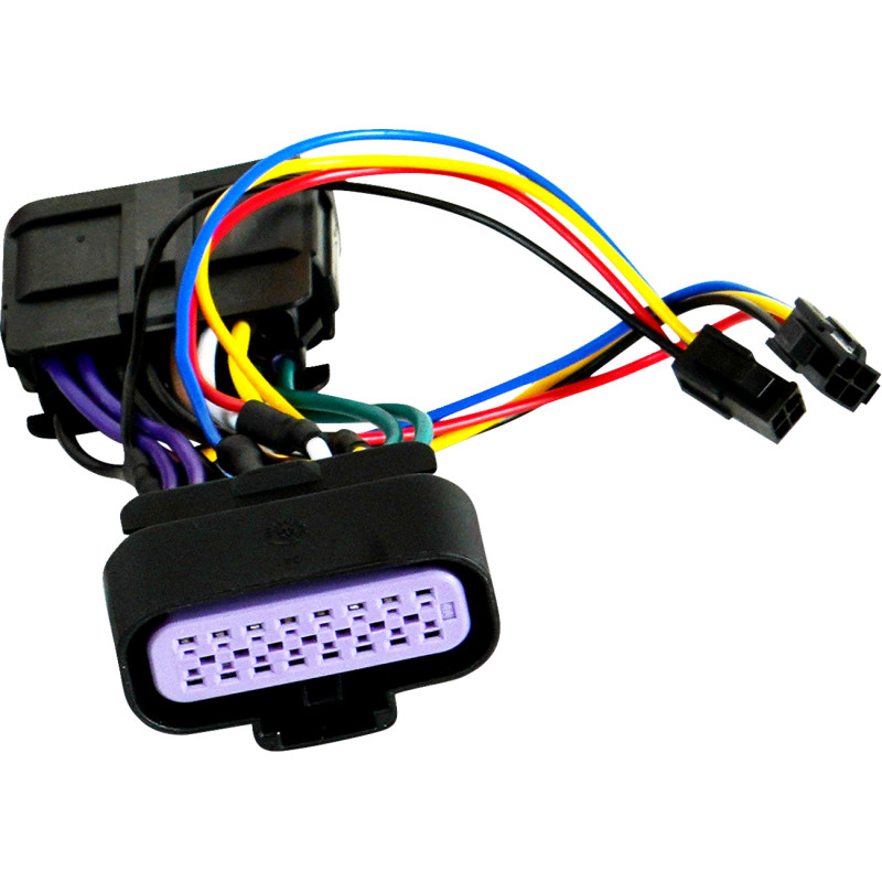 SHOW CHROME Wire Harness