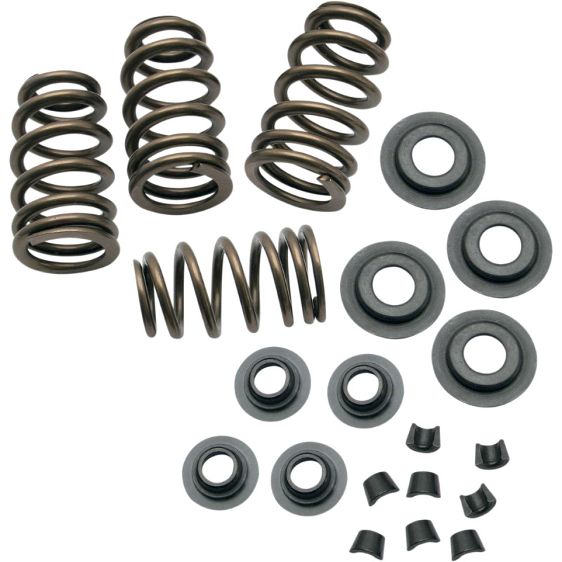 S&S CYCLE 0.650" Sidewinder® Valve Spring Kit