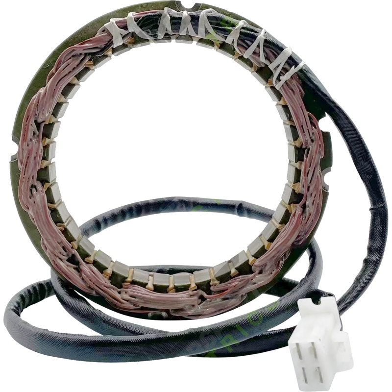 RICK'S MOTORSPORT ELECTRIC Stator - Image 13