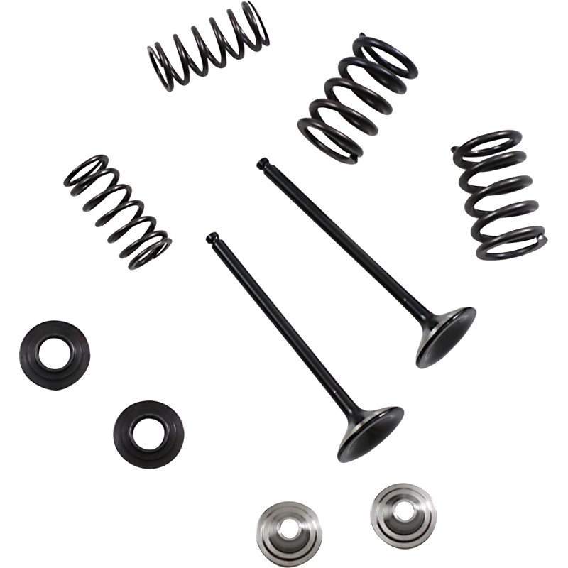 MOOSE OFFROAD Exhaust Valve and Spring Kit - Image 5