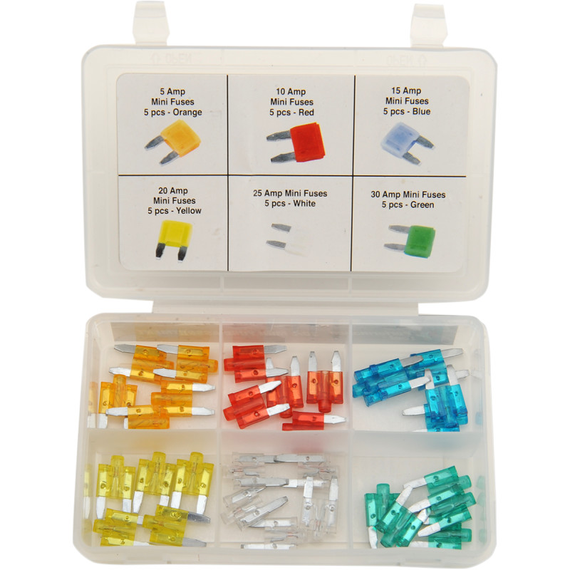 PERFORMANCE TOOL Mini Fuse Assortment