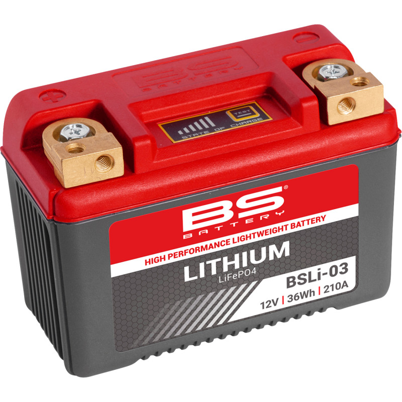 BS BATTERY Lithium LiFePO4 Battery