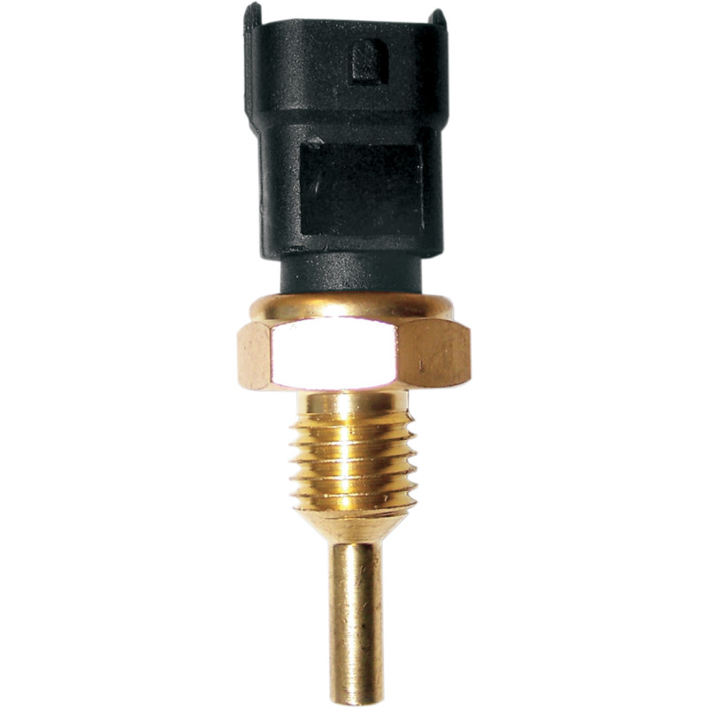 WSM Temperature Sensor