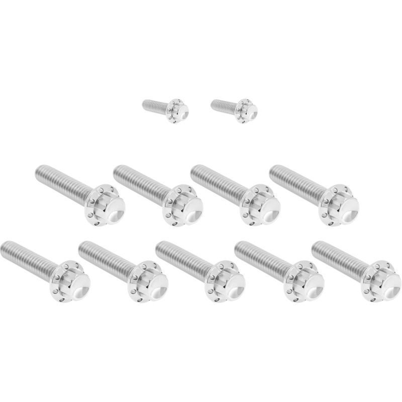 ARLEN NESS Cam Cover/Point Cover Titanium 12-Point Bolt Kit