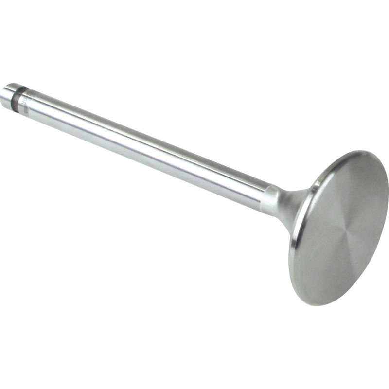 S&S CYCLE Replacement Stainless Steel Valves for S&S Heads