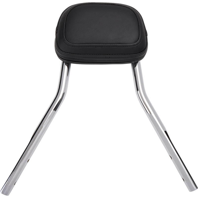 COBRA Detachable Backrest Kit