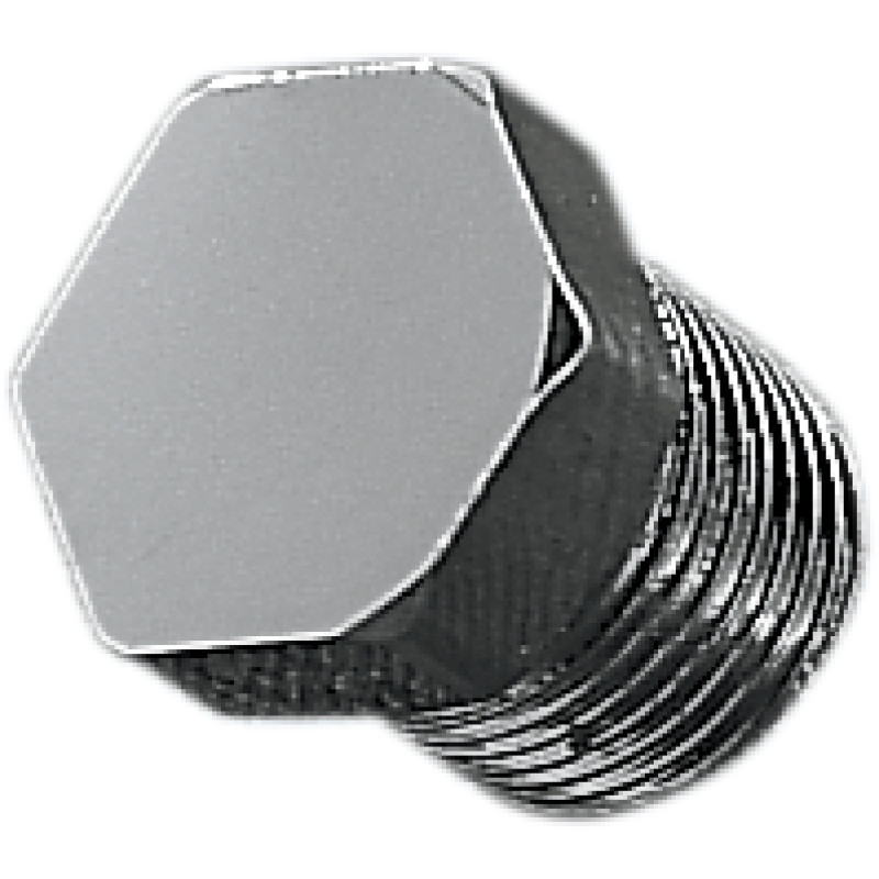 GARDNER-WESTCOTT Chrome Hex Drain Plug