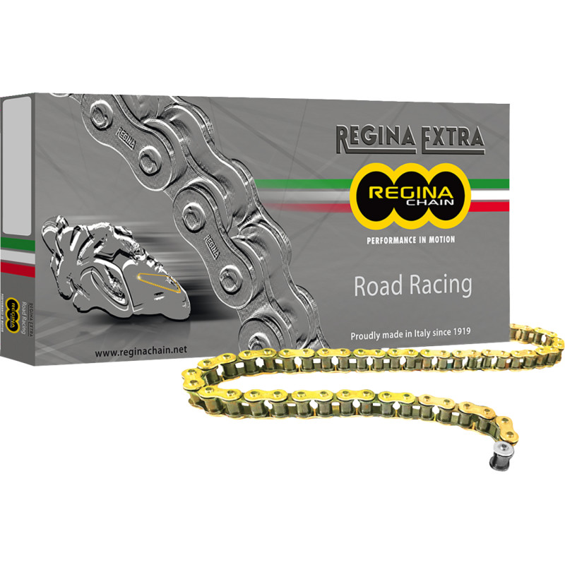 REGINA 520 GPZ Series Chain