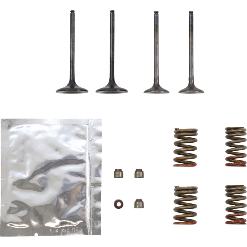 WISECO Valve Kit - Image 15