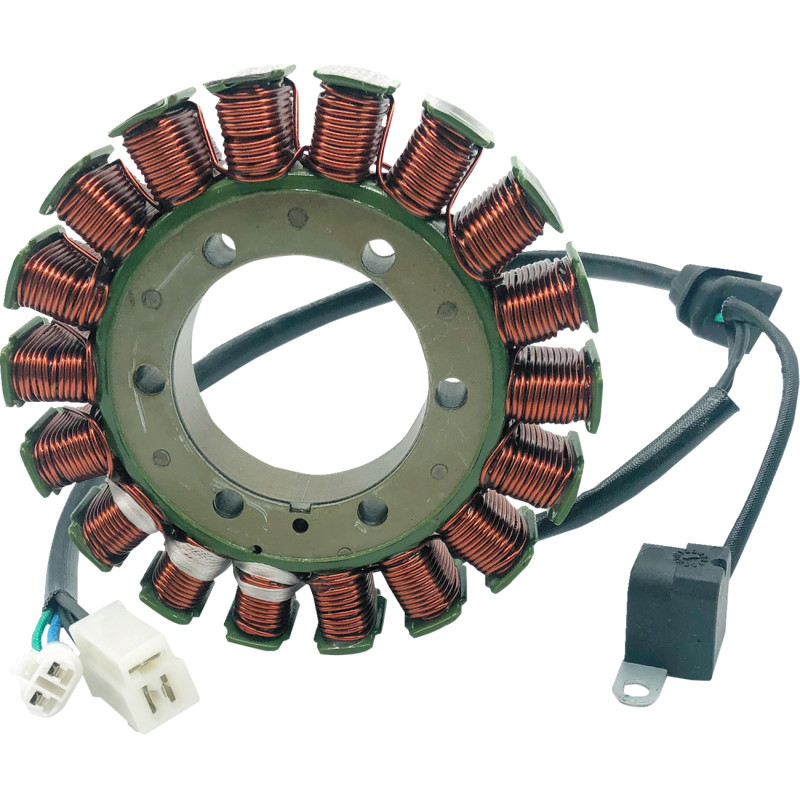 RICK'S MOTORSPORT ELECTRIC Stator - Image 6