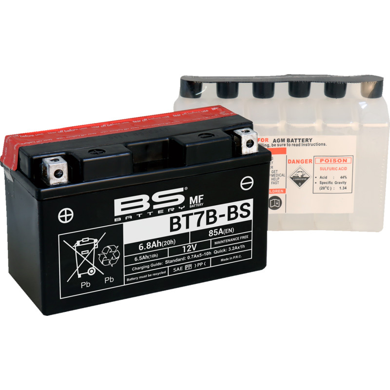 BS BATTERY Maintenance-Free Battery - Image 6