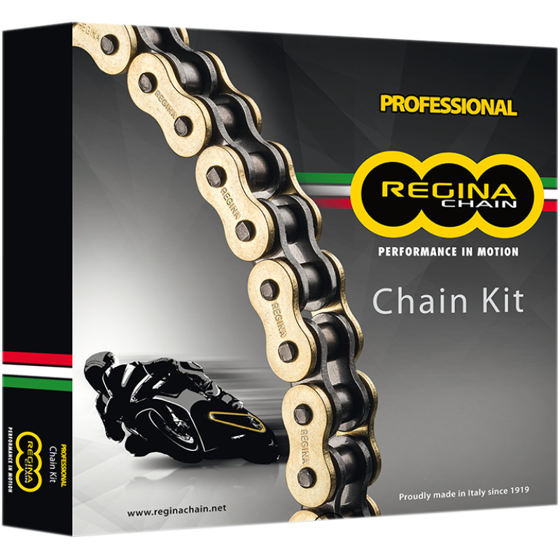 REGINA Chain and Sprocket Kit
