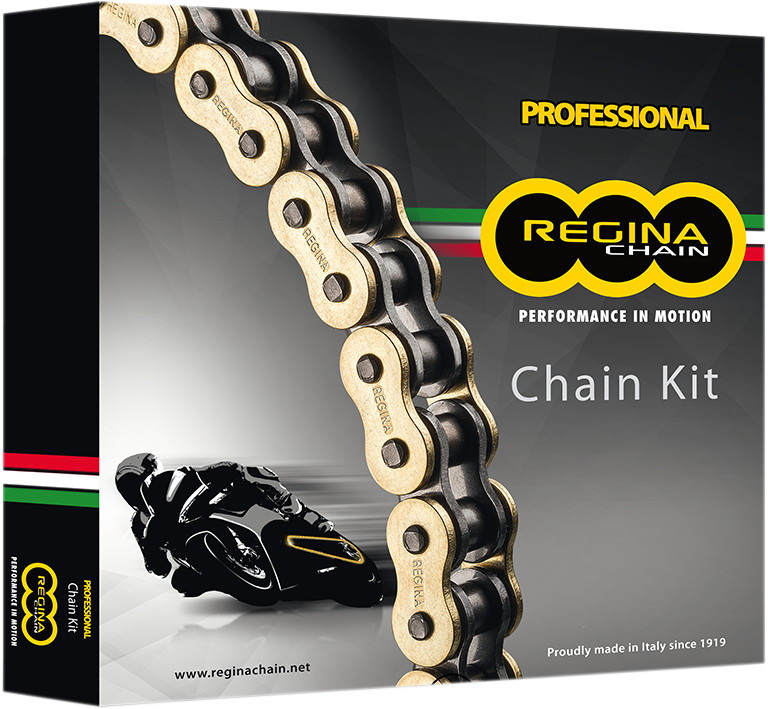 REGINA Chain and Sprocket Kit