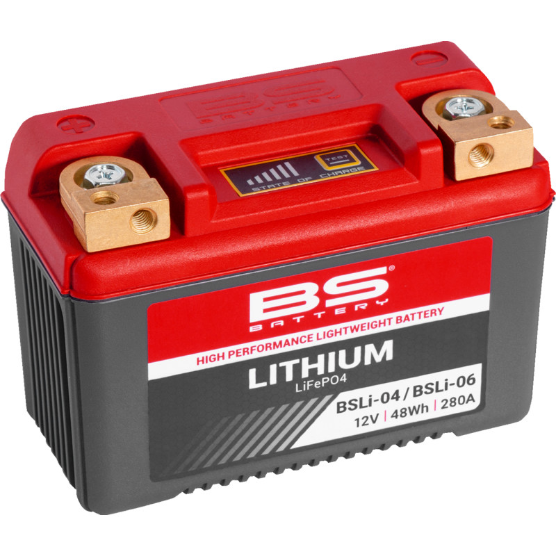 BS BATTERY Lithium LiFePO4 Battery