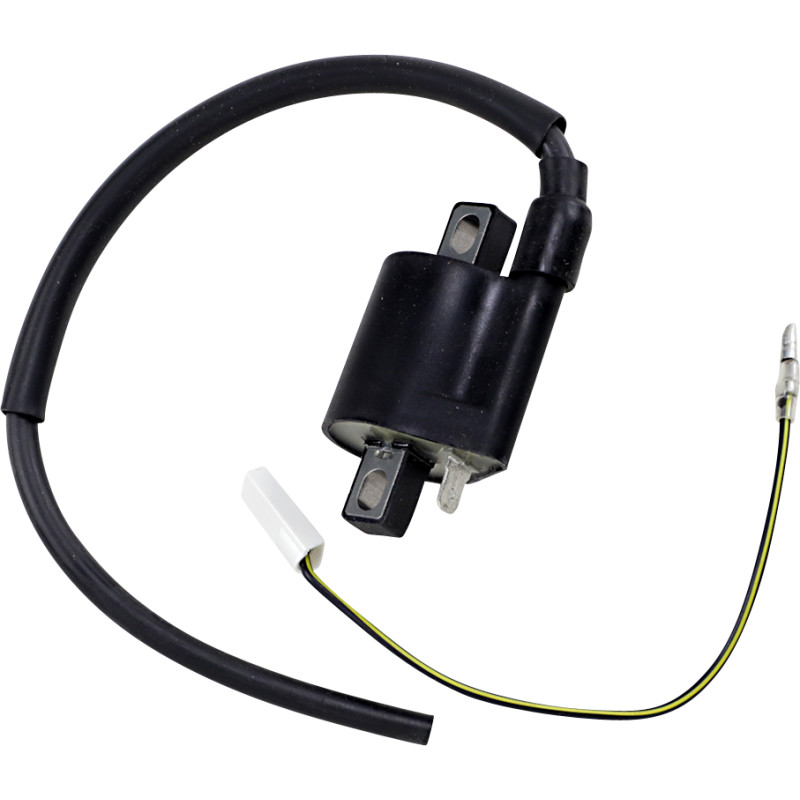 RICK'S MOTORSPORT ELECTRIC Ignition Coil