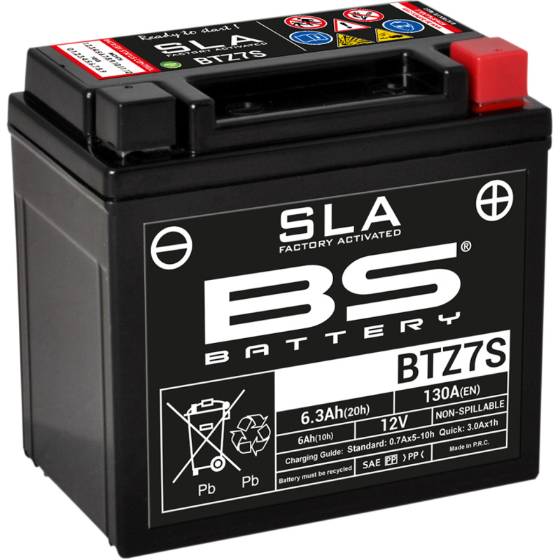 BS BATTERY SLA Factory- Activated AGM Maintenance-Free Battery