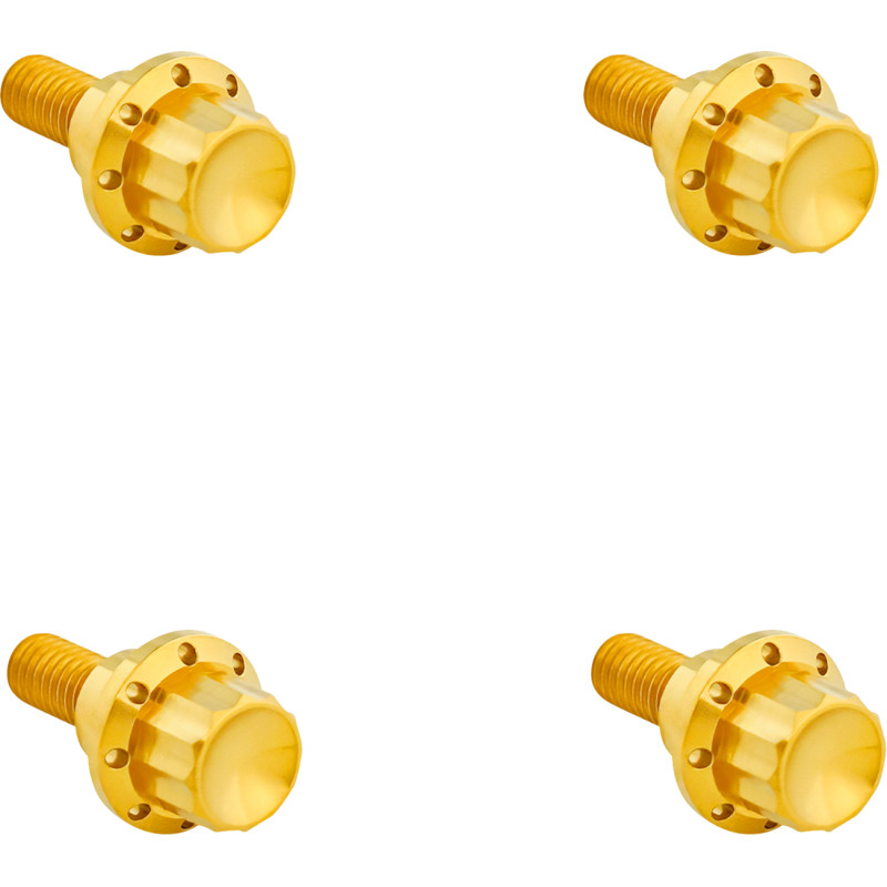 ARLEN NESS Windshield Titanium 12-Point Bolt Kit