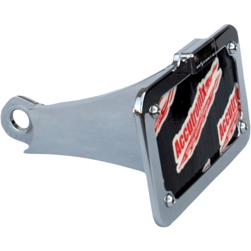 ACCUTRONIX Side Mount License Plate with LED Tag Light