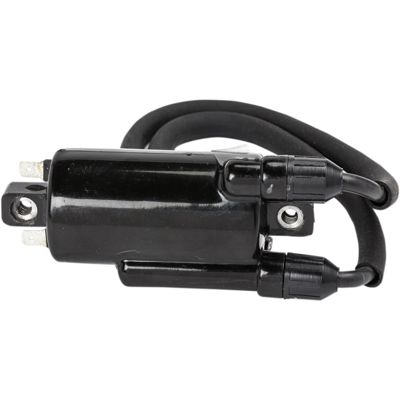 RICK'S MOTORSPORT ELECTRIC Ignition Coil - Image 4