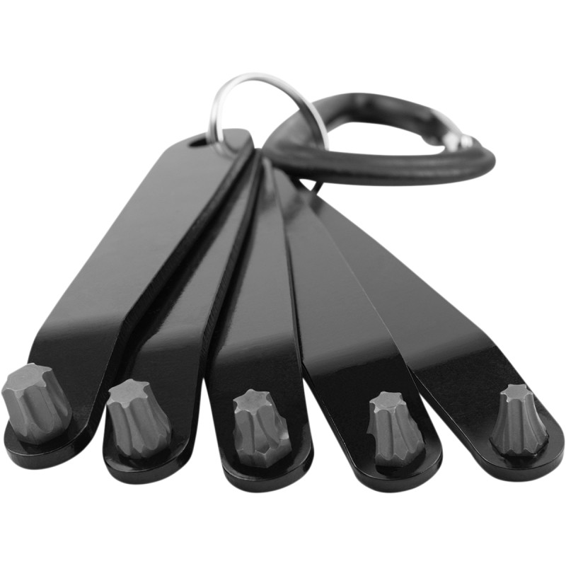 PERFORMANCE TOOL Star Driver Set