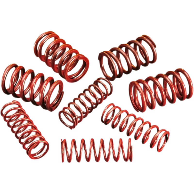 ANDREWS High-Lift Valve Spring Kit