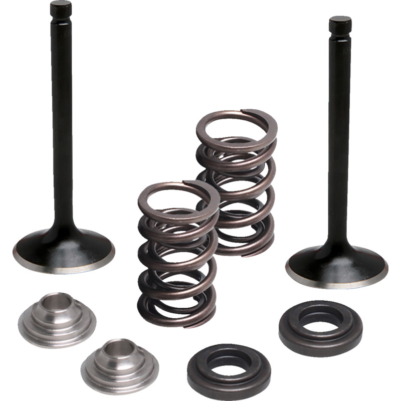 MOOSE OFFROAD Valve and Spring Kit - Image 6