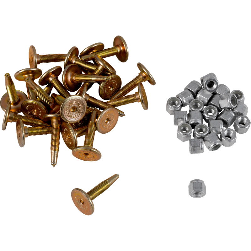 WOODY'S Gold Digger® Traction Master® Carbide Studs