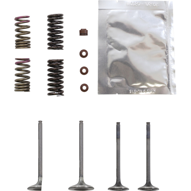 WISECO Valve Kit