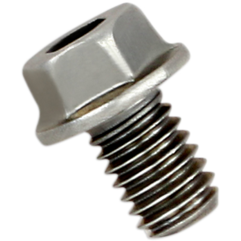AKRAPOVIC Replacement Exhaust Bolt — Bolt