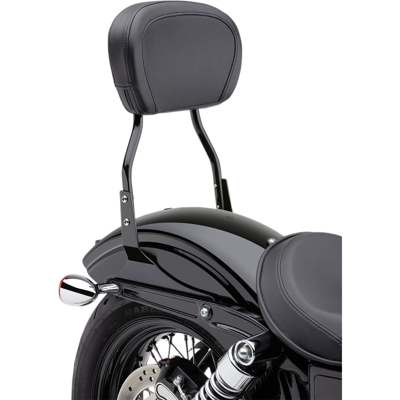COBRA Round Sissy Bar - Image 7