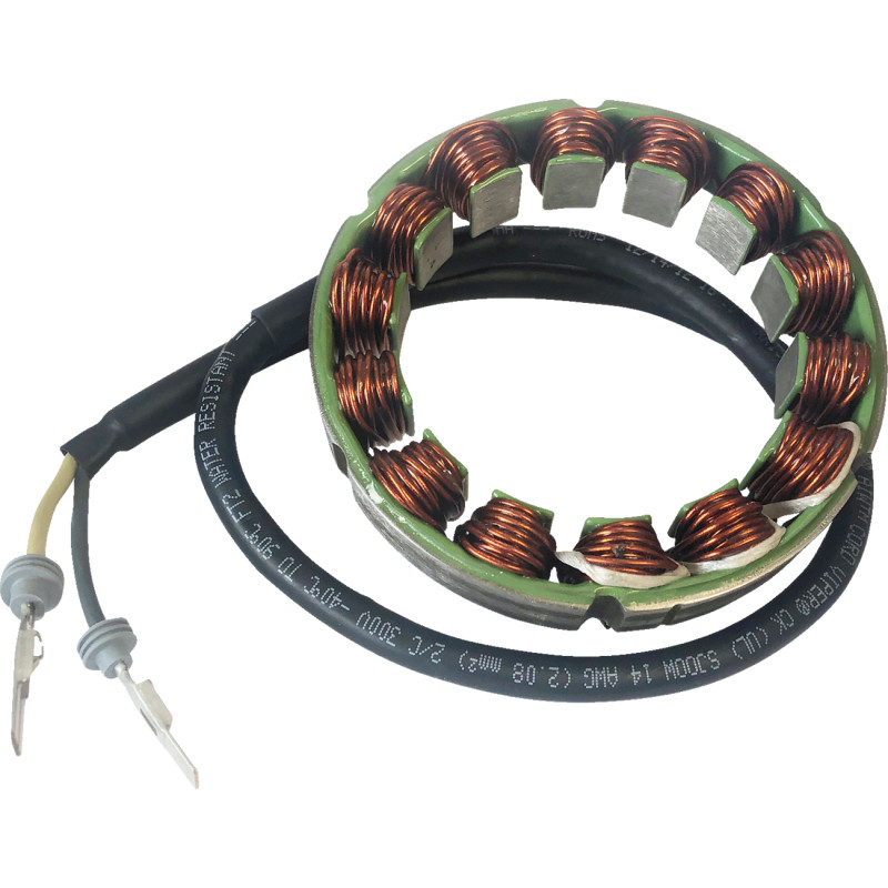 RICK'S MOTORSPORT ELECTRIC Stator - Image 5