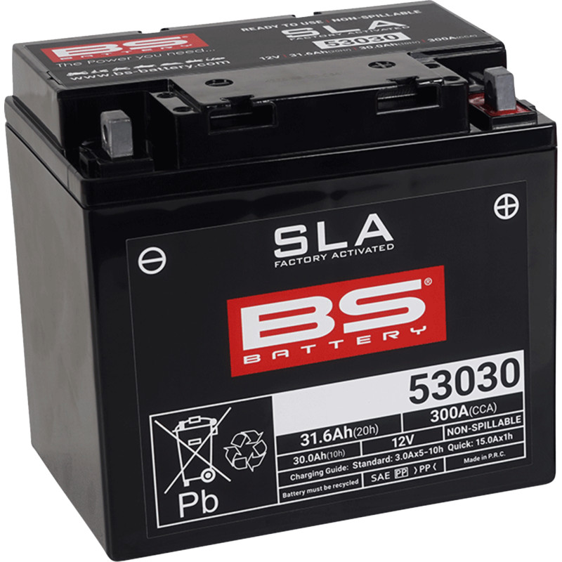 BS BATTERY SLA Factory- Activated AGM Maintenance-Free Battery