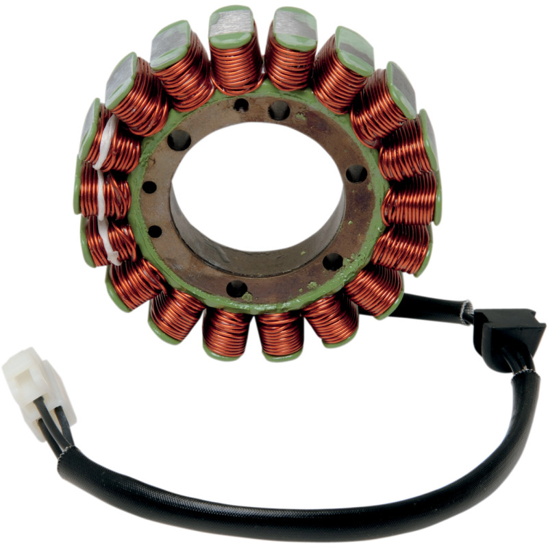 RICK'S MOTORSPORT ELECTRIC Stator - Image 3