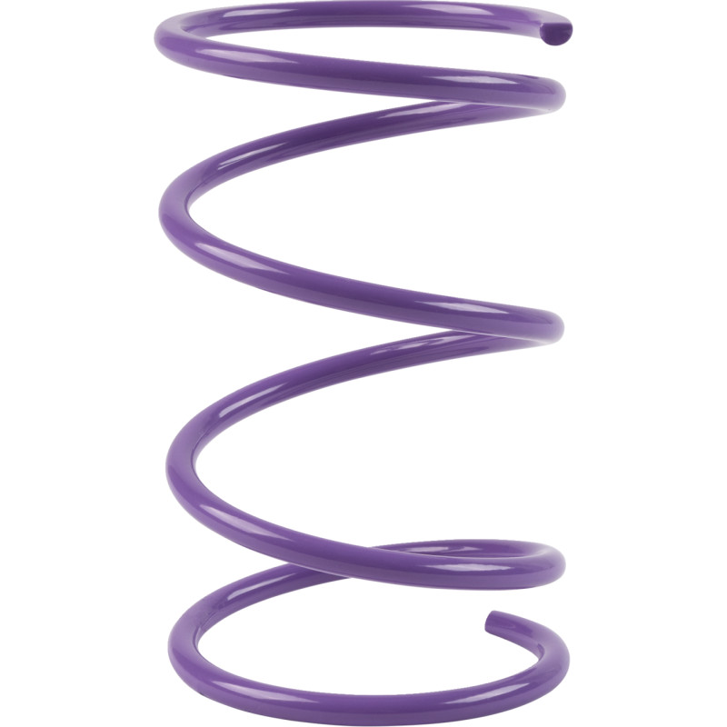 BIKEMAN PERFORMANCE Secondary Clutch Spring