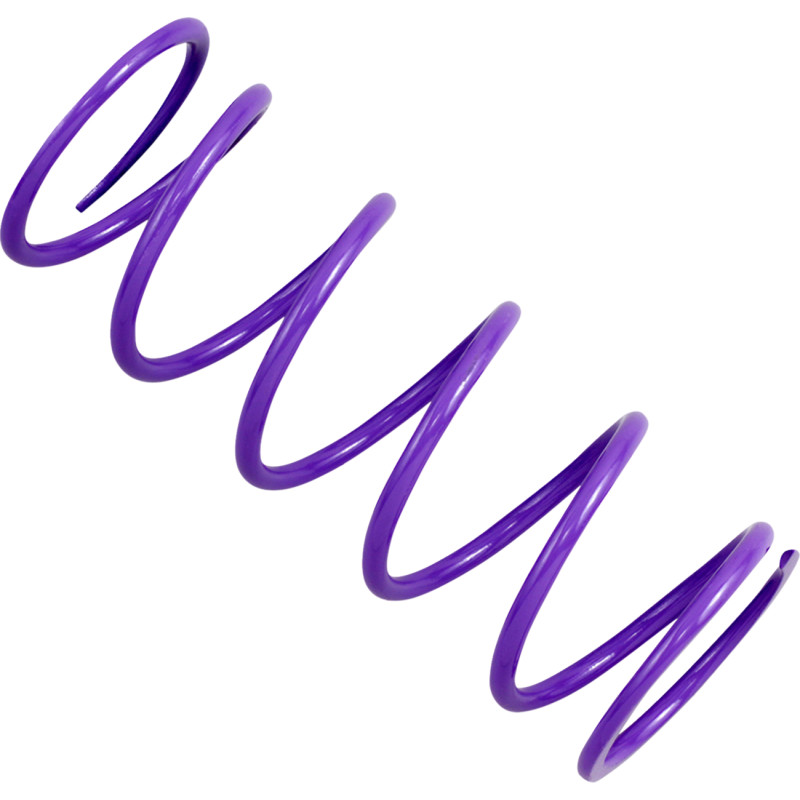 EPI Primary Clutch Spring - Image 2