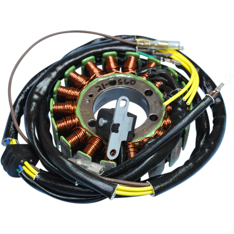 RICK'S MOTORSPORT ELECTRIC Stator for Polaris - Image 9