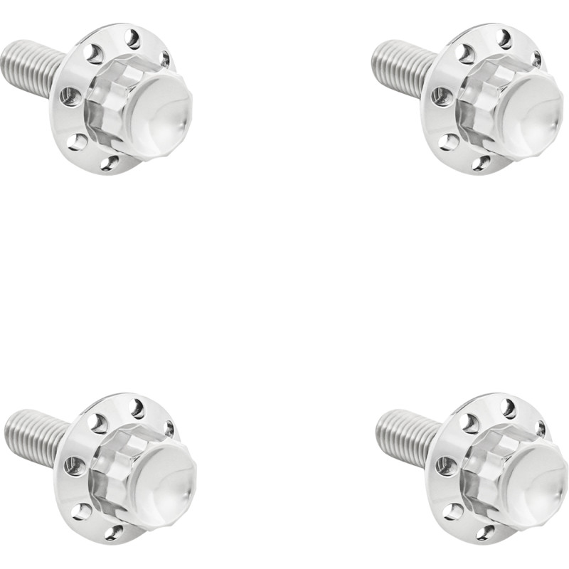 ARLEN NESS Titanium 12-Point Windshield Bolts