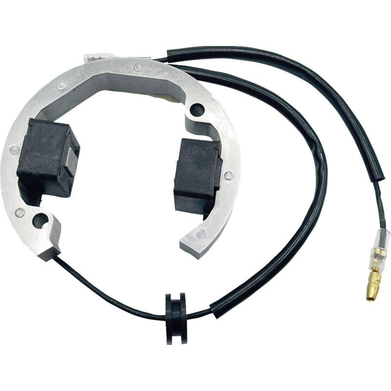 RICK'S MOTORSPORT ELECTRIC Stator - Image 8