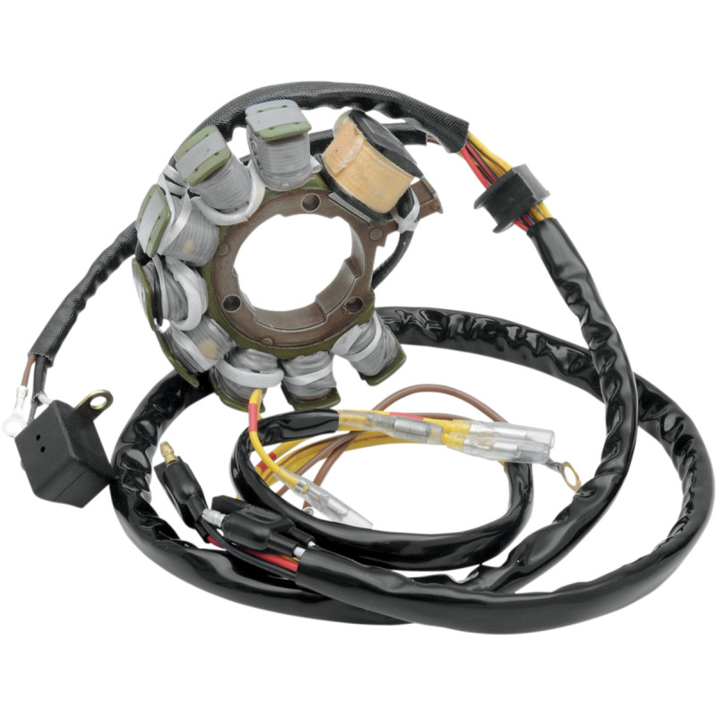 RICK'S MOTORSPORT ELECTRIC Stator for Polaris - Image 5